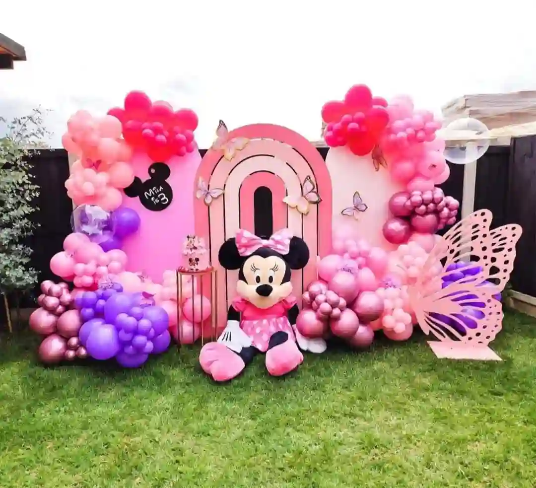 Minnie & Butterfly Wonderland Birthday Decor